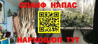скорость Пугачёв