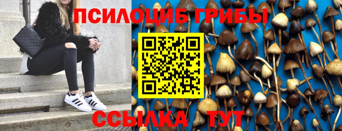 Псилоцибиновые грибы прущие грибы Нягань